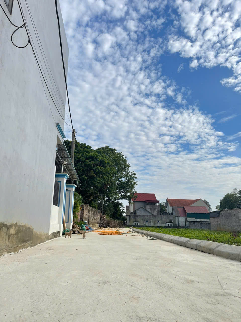 DT 73,7m thanh bình  CM bám QL6 đường 2 ô tô tránh nhau giá nhỉnh 2 tỷ - Ảnh 1