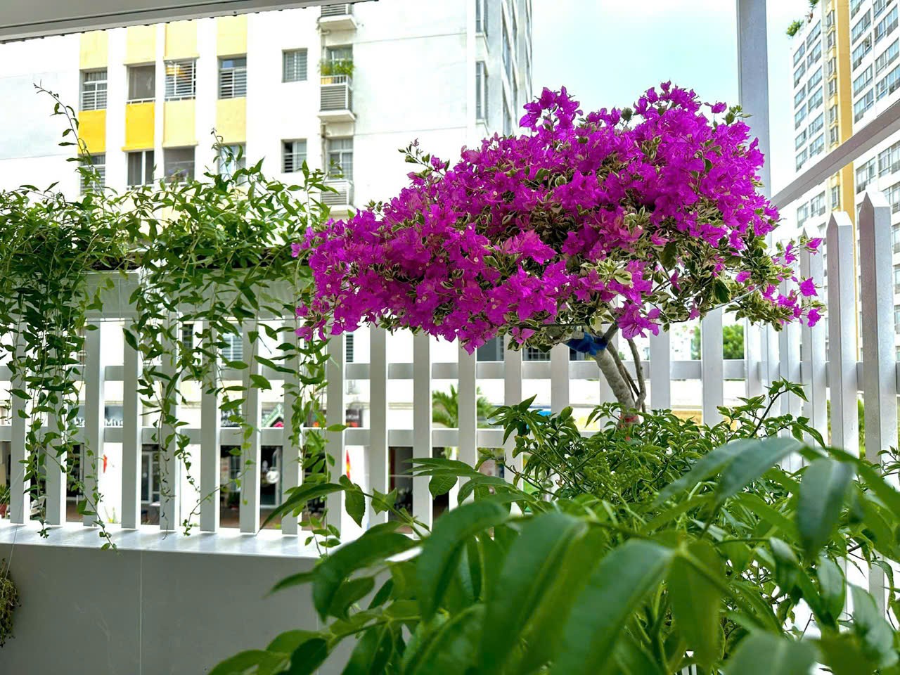 Cần bán nhanh căn hộ sân vườn sky garden 2, PMH, Q7, 115m2, 3PN nhà mới đẹp, giá chỉ 7,4 tỷ - Ảnh 4