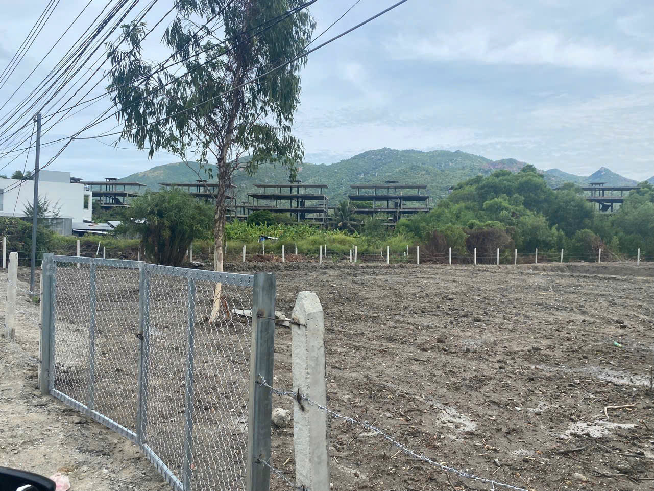 Bán Lô Đát Đầu Tư Mặt Tiền Phước Hạ - Phước Đồng gần sân Golf Diamond Bay , Gần KDT Vingroub - Tỉnh - Ảnh 1