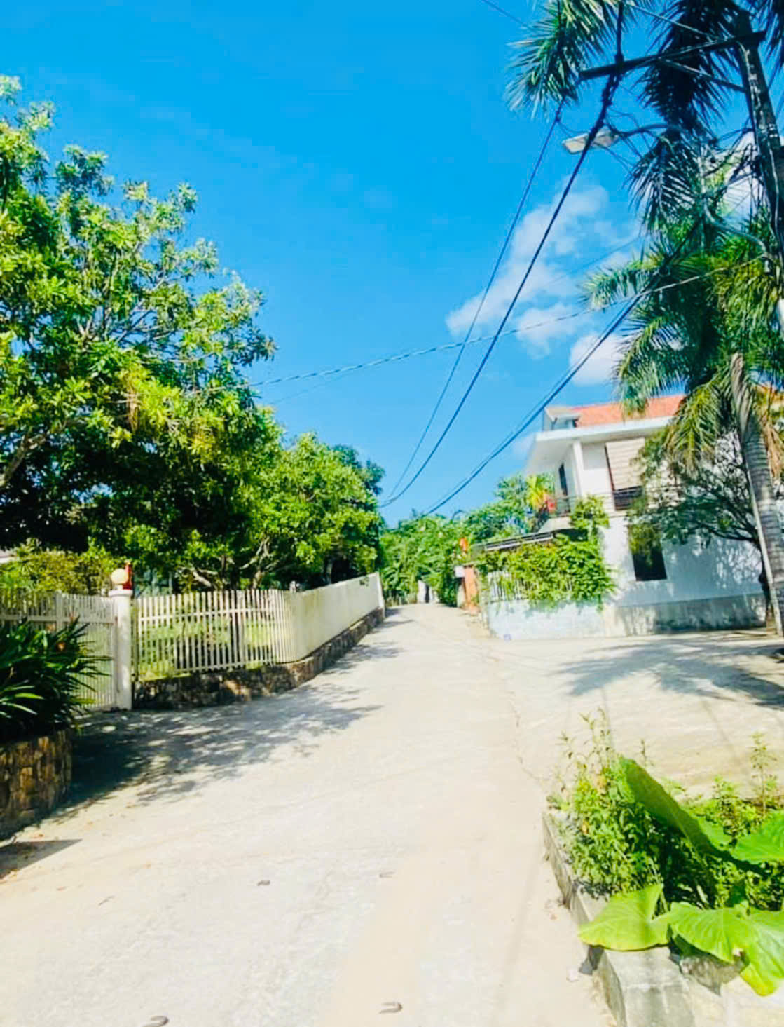 💥 BÁN ĐẤT MẶT TIỀN THANH HẢI – PHƯỜNG THUỶ XUÂN – TP. HUẾ - Ảnh 1