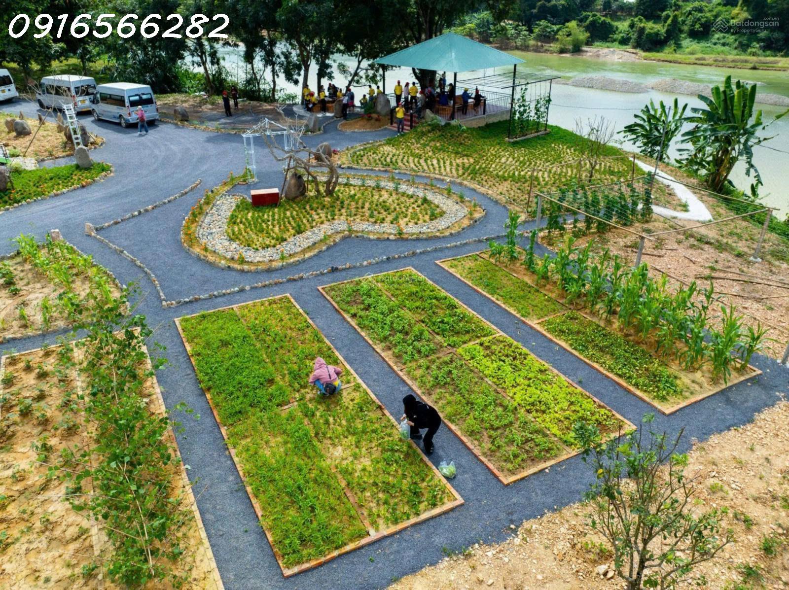 Bán đất 8766m2 tại Tỉnh Lộ 2, Diên Đồng, Diên Khánh, Khánh Hòa, 13 tỷ - Ảnh 2