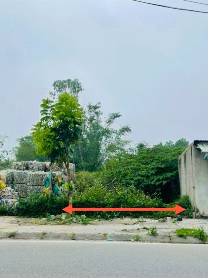 ⚠️ 💢 Bán đất Mặt Tiền Sóng Hồng, vị trí cực đẹp, Gần UBND TX Hương Thuỷ, TP Huế - Ảnh chính