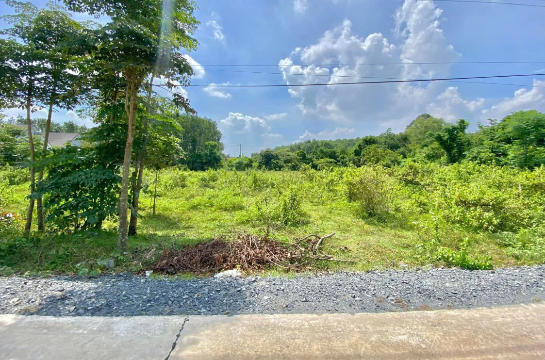 🏡 Bán Đất MT Tân Thông Hội SHR Công Chứng Sang Tên Ngay Giá Chỉ 1.5 tỷ 🔥 - Ảnh chính