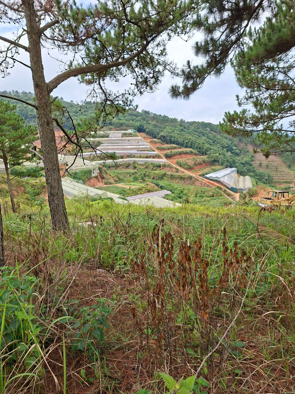 Bán lô đất tại phường 5 nối liền với xã Tà Nung, TP.Đà Lạt, tỉnh Lâm Đồng - Ảnh 1
