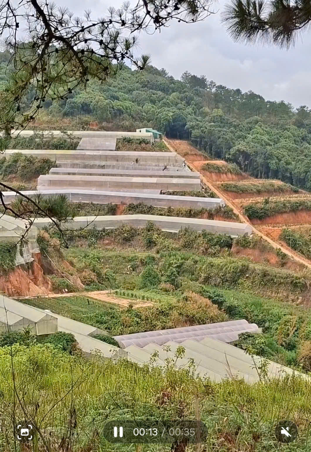Bán lô đất tại phường 5 nối liền với xã Tà Nung, TP.Đà Lạt, tỉnh Lâm Đồng - Ảnh chính