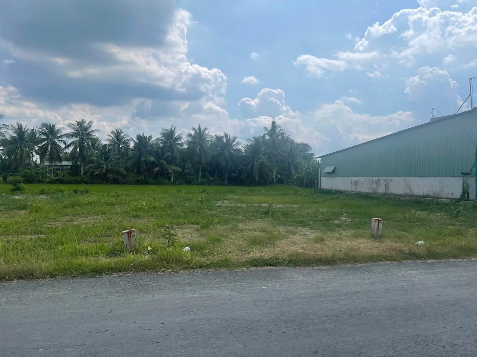 CHÍNH CHỦ CẦN BÁN GẤP LÔ ĐẤT ĐẸP TẠI TRUNG TÂM XÃ BÌNH ĐÔNG - TIỀM NĂNG SINH LỜI VƯỢT TRỘI! - Ảnh chính