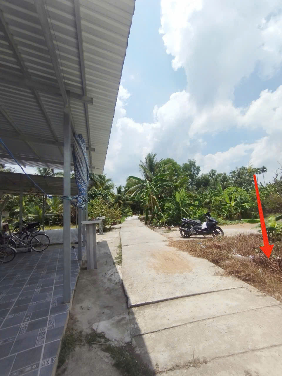 BÁN NỀN THỔ CƯ 100% CÁCH TRUNG TÂM PHONG ĐIỀN 4KM - Ảnh 1