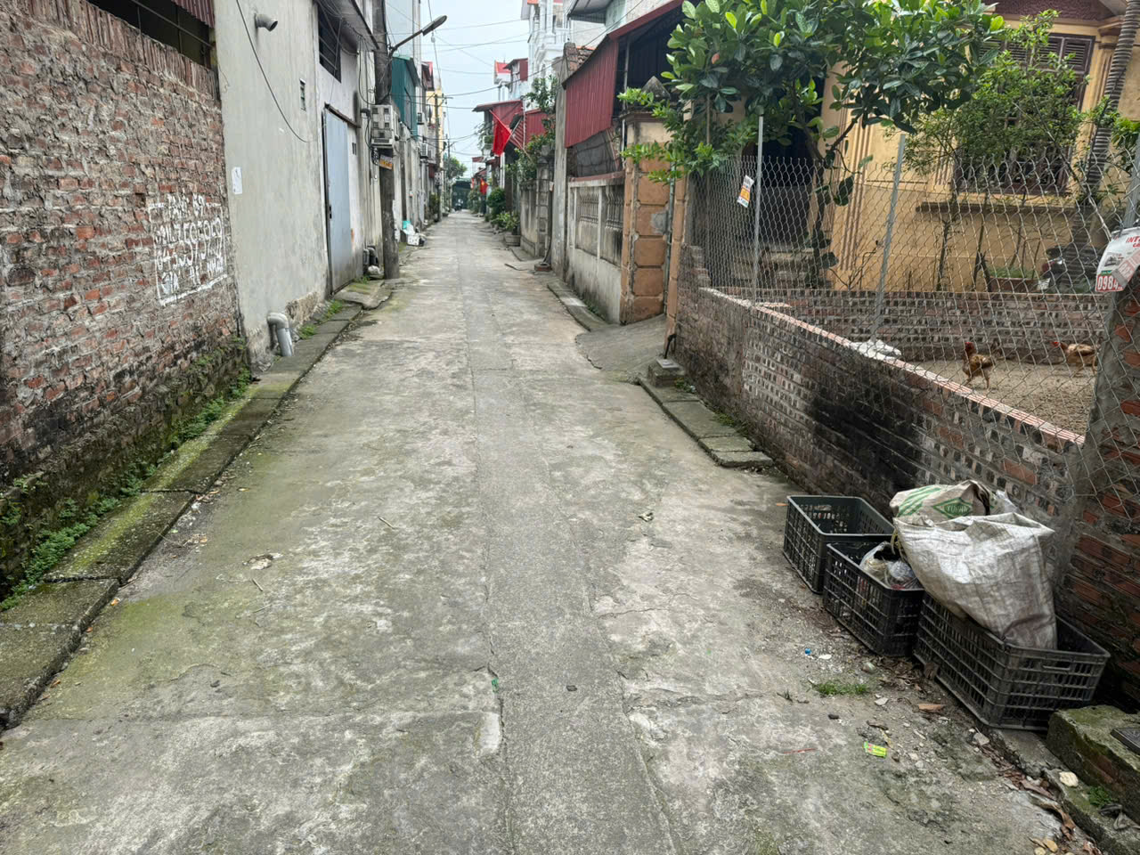 Đất thôn Trung Hậu Đoài, Tiền Phong, Mê Linh. DT 73m, đường thông, oto đỗ - Ảnh chính