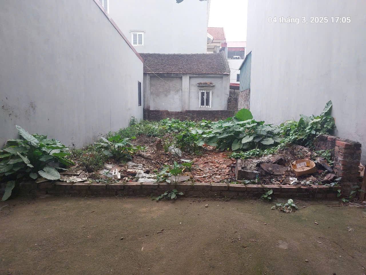 Đất Nam Hồng 46m2, mt5m, gần ô tô, 3.15 tỷ, Đông Anh. - Ảnh chính