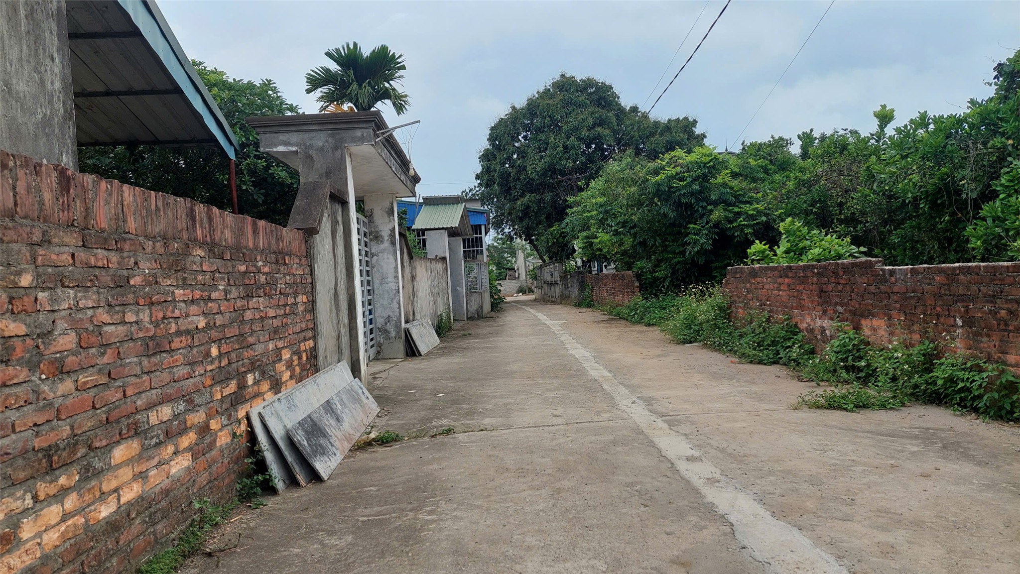 ĐẤT SIÊU ĐẸP - GIÁ TỐT - Bán GẤP Lô Đất F0 Tiềm Năng Tại Đồng Vỡ, Gò Cáo - Ảnh 3