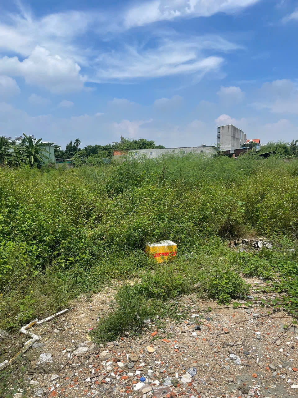 ĐẤT 3.395M² FULL THỔ – ĐƯỜNG VÕ THỊ LIỄU, AN PHÚ ĐÔNG, Q12 – 2 SỔ RIÊNG - Ảnh chính