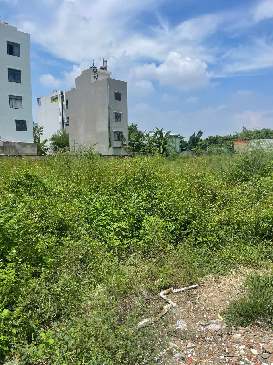 ĐẤT 3.395M² FULL THỔ – ĐƯỜNG VÕ THỊ LIỄU, AN PHÚ ĐÔNG, Q12 – 2 SỔ RIÊNG - Ảnh 1