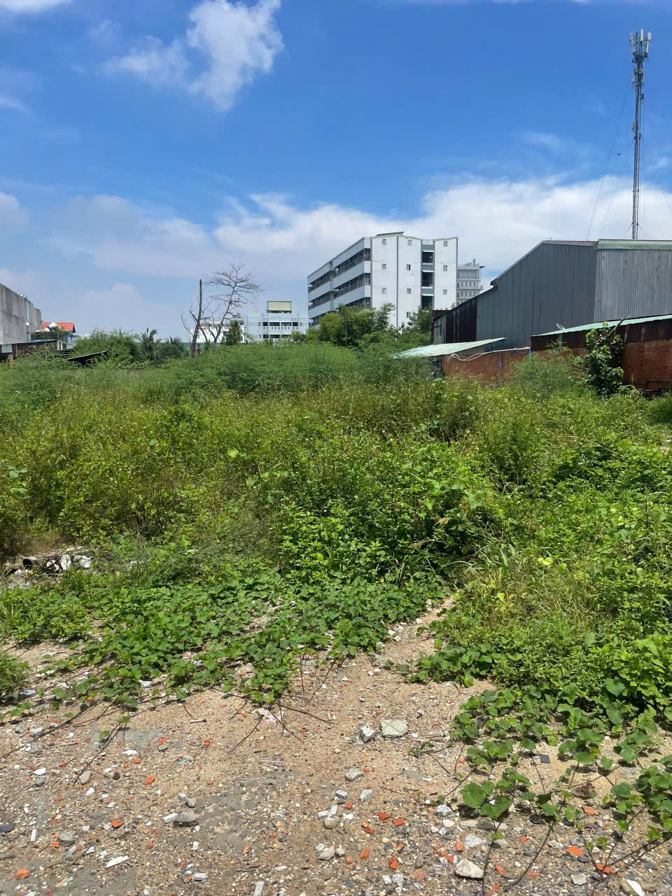 ĐẤT 3.395M² FULL THỔ – ĐƯỜNG VÕ THỊ LIỄU, AN PHÚ ĐÔNG, Q12 – 2 SỔ RIÊNG - Ảnh 2