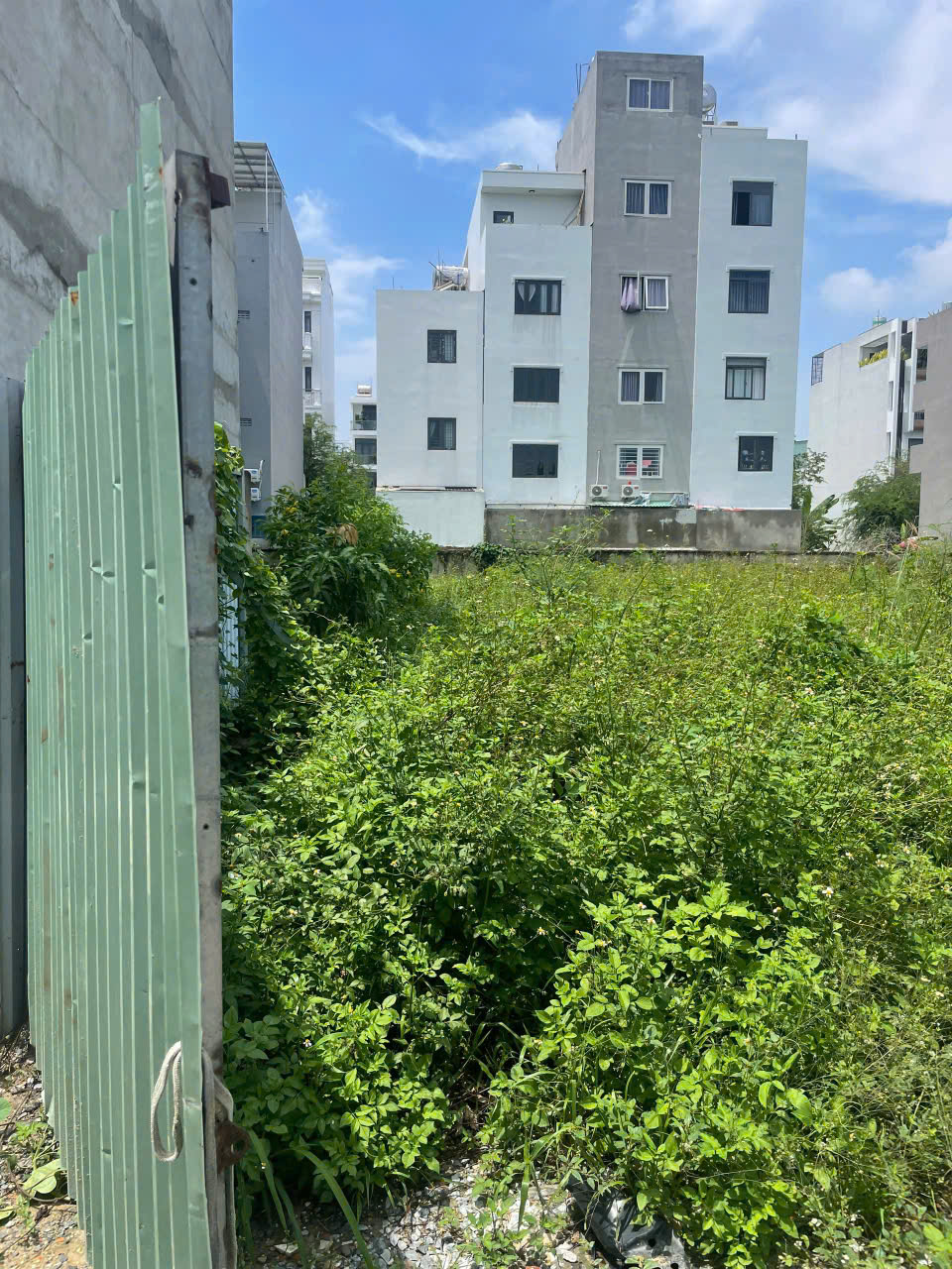 ĐẤT 3.395M² FULL THỔ – ĐƯỜNG VÕ THỊ LIỄU, AN PHÚ ĐÔNG, Q12 – 2 SỔ RIÊNG - Ảnh 3