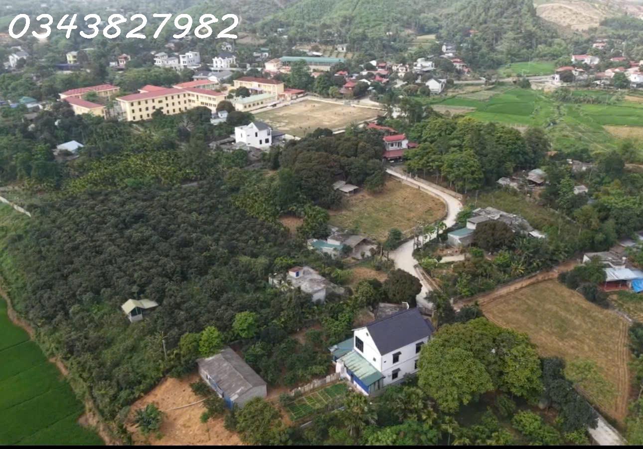 Không khí trong lành gần khu du lịch - chính chủ có lô đất đẹp view sông tại Nam Thượng- Kim Bôi- - Ảnh 1