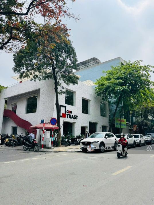 Bán nhà Mặt phố Trung Tâm Đống Đa Ba Đình - 115m MT 9m Vỉa Hè KDVP Tích Sản Dòng Tiền - Ảnh 3