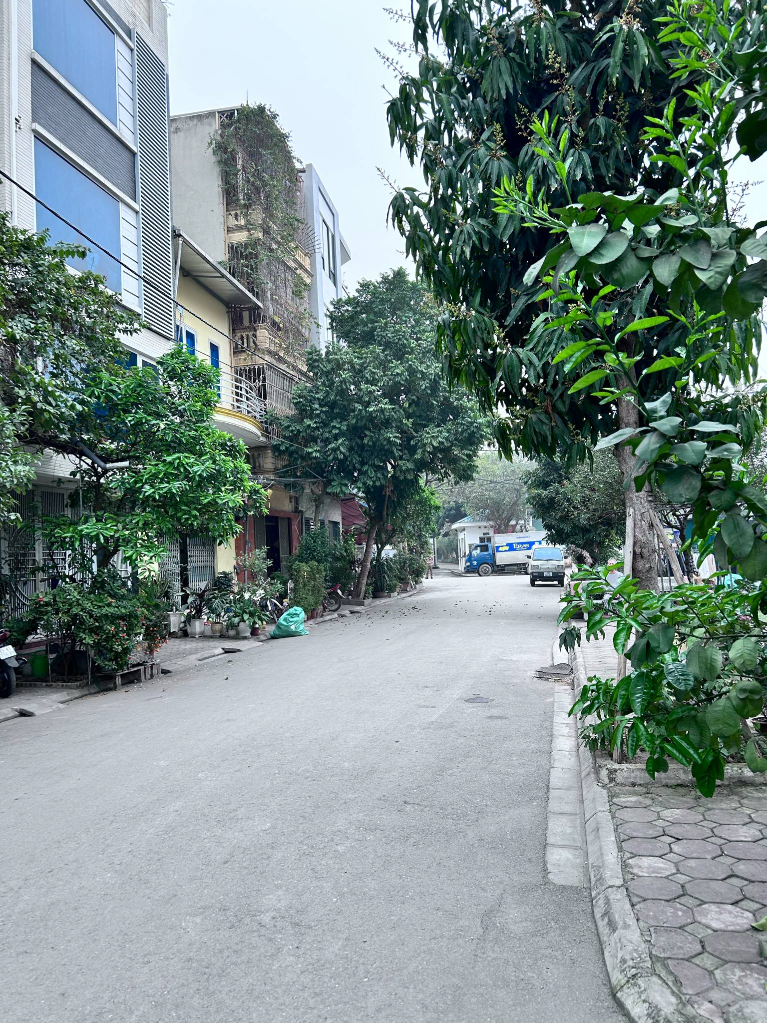 Bán đất lô góc tái định cư Hồ Voi/Cổ Bi/Gia Lâm,73m2 mtien 18m 2 mặt đường nhựa thông - Ảnh 2