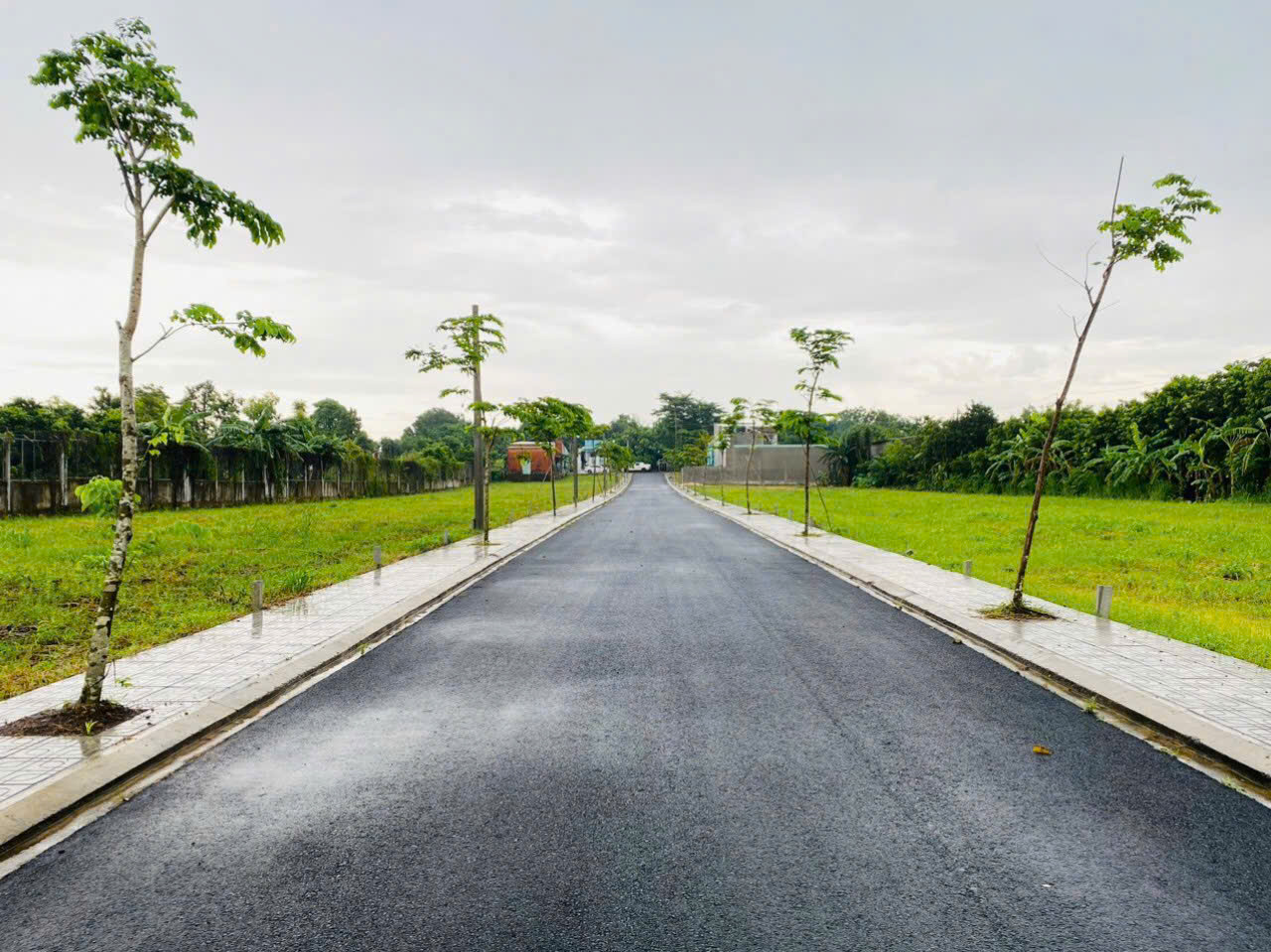 Cần bán đất nền Dự án tại xã Sông Thao, huyện Trảng Bom, tỉnh Đồng Nai - Ảnh 2