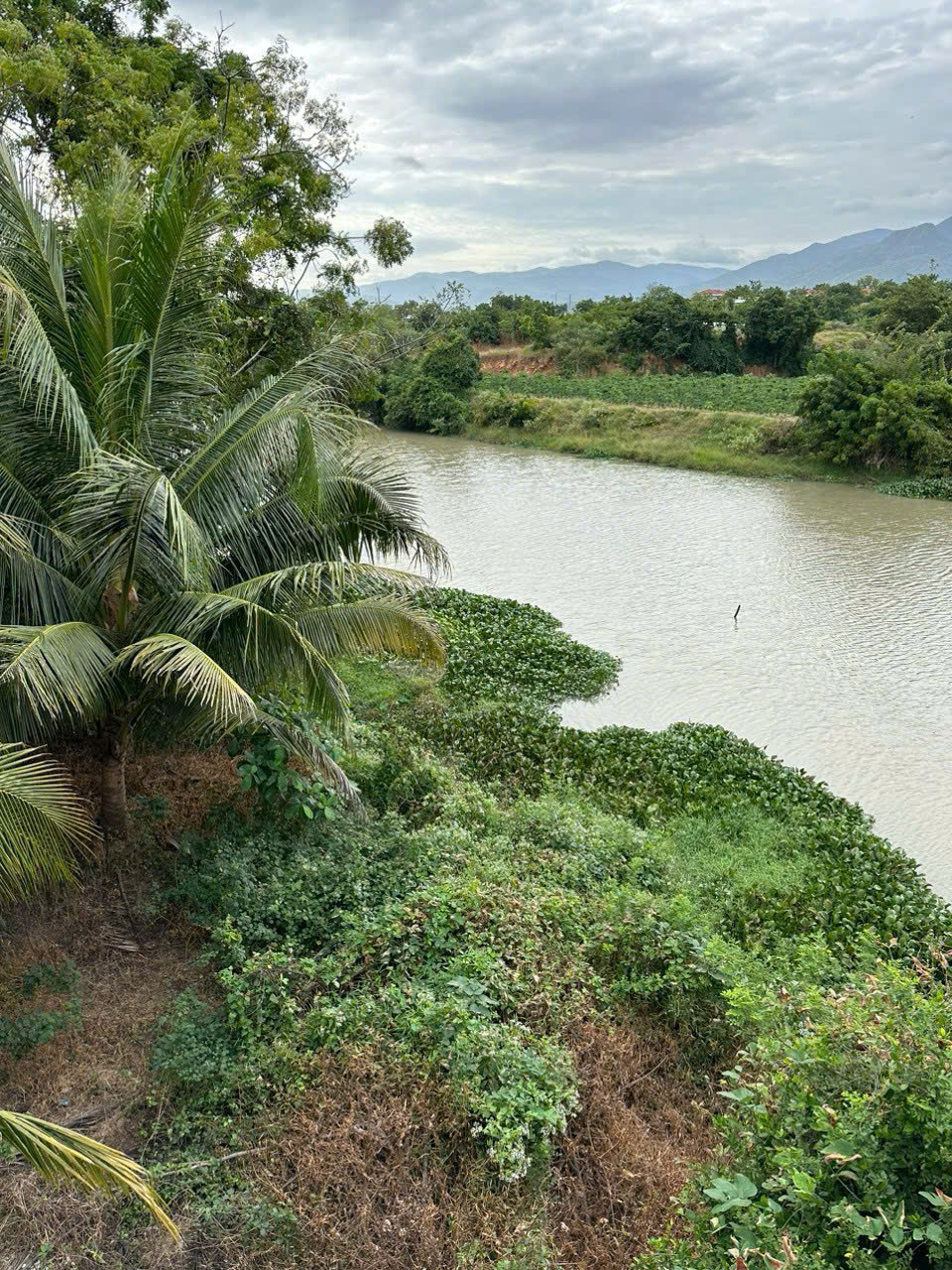 💰 290 TRIỆU – BÁN GẤP 1.776M² ĐẤT NÔNG NGHIỆP – MẶT SÔNG, ĐƯỜNG Ô TÔ ĐẾN ĐẤT 💰<br><br>📍 Vị trí:<br> • Đất - Ảnh chính