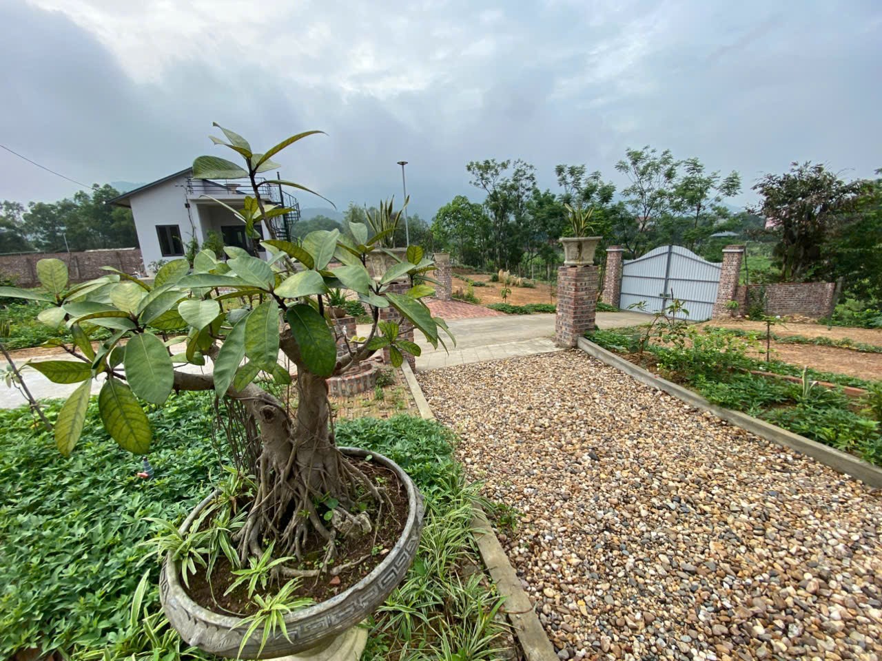 ĐẤT VỊ TRÍ ĐẸP - GIÁ TỐT Chính chủ bán mảnh đất tại huyện Sóc Sơn, Hà Nội - Ảnh 2