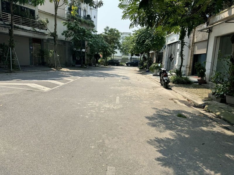 Bán Đất Giang Biên Chếch Vườn Hoa: 72,67m2, mặt tiền đẹp, cạnh Trường Chợ, tiện ích bạt ngàn - Ảnh chính
