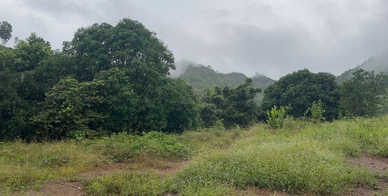BÁN LÔ ĐẤT THÔN TÂY NAM, XÃ SÔNG CẦU, HUYỆN KHÁNH VĨNH, KHÁNH HOÀ. - Ảnh 1