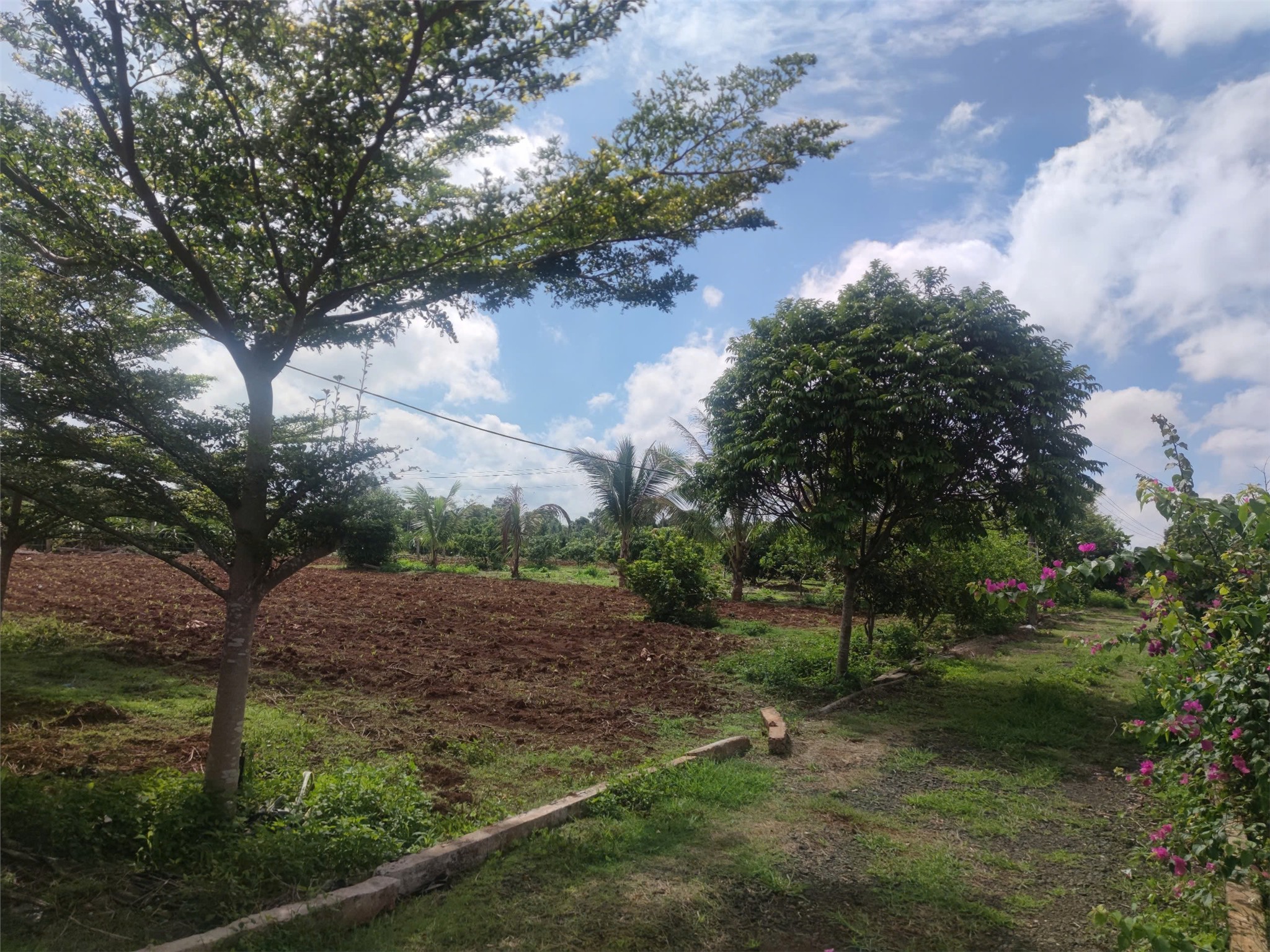 Đất ĐẸP – GIÁ TỐT - CHÍNH CHỦ CẦN BÁN LÔ ĐẤT Thôn 6, Xã Ea Bar, Buôn Đôn, Đắk Lắk - Ảnh 1