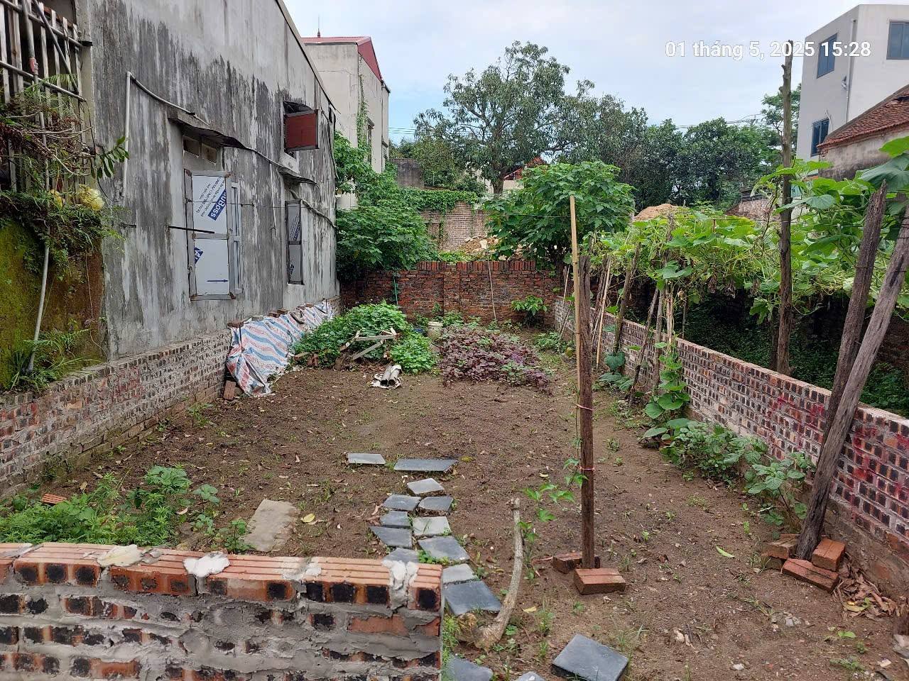 Chủ cần bán đất 59m2, mt5m, 5.48 tỷ, ô tô tải, Tiên Dương, Đông Anh. - Ảnh chính