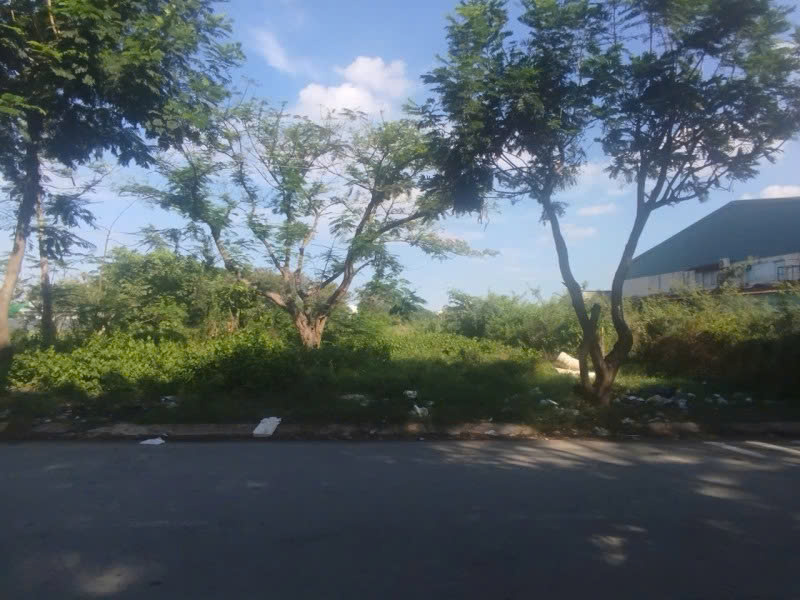 Bán Đất Mặt tiền Bà Điểm 4 - gần Phan Văn Hớn, 856m2, full thổ, 20x43m, tiện xây, 39.9 tỷ. - Ảnh chính
