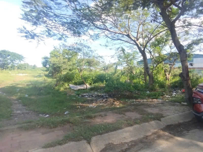 Bán Đất Mặt tiền Bà Điểm 4 - gần Phan Văn Hớn, 856m2, full thổ, 20x43m, tiện xây, 39.9 tỷ. - Ảnh 3