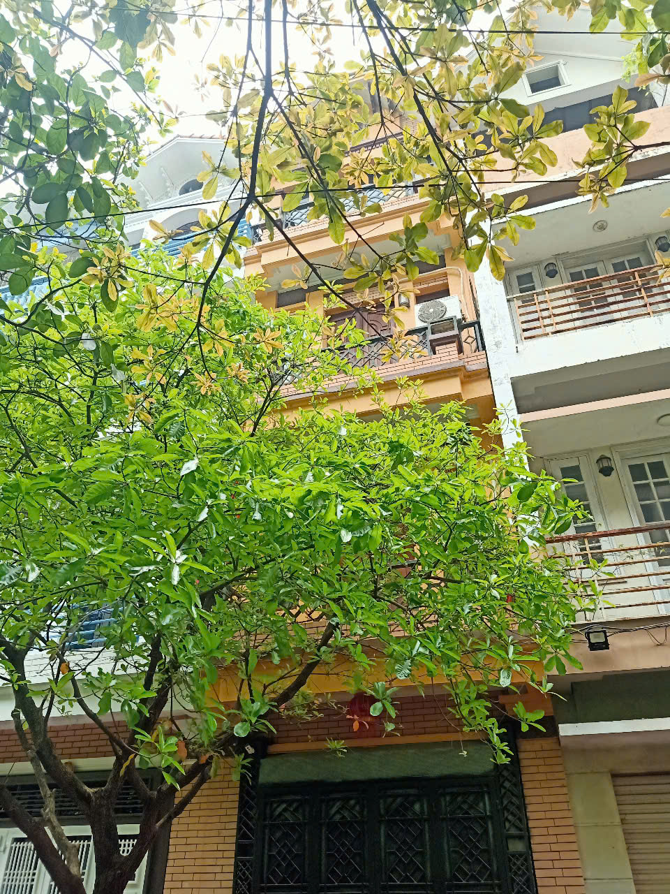 Cho thuê nhà liền kề Mỹ Đình làm văn phòng công ty - Ảnh chính