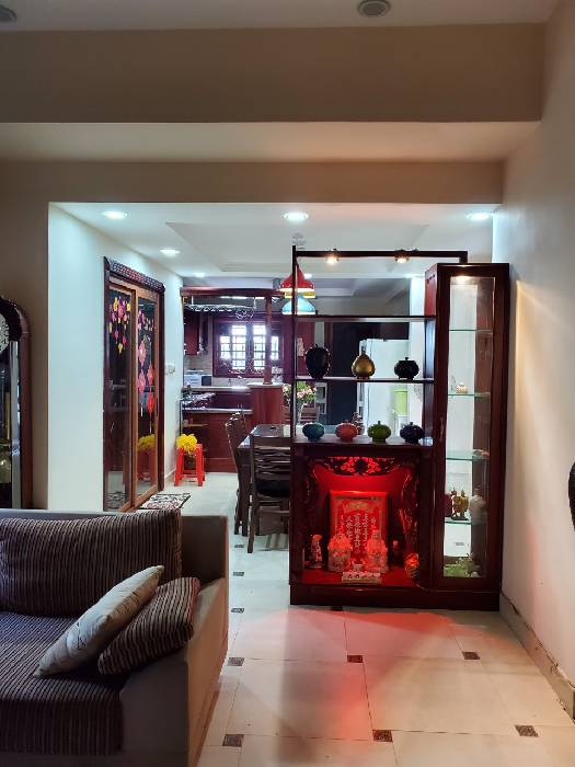 BÁN BIỆT THỰ LÀNG VIỆT KIỀU - 4 TẦNG, 200M2 10x20M - ĐƯỜNG 8M - NỘI THẤT CAO CẤP - NHỈNH 12.5 TỶ - Ảnh 3