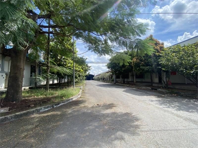 chuyển nhượng toàn bộ công ty, giấy tờ đầy đủ, với chủ trương cấp phép đa ngành nghề - Ảnh 1