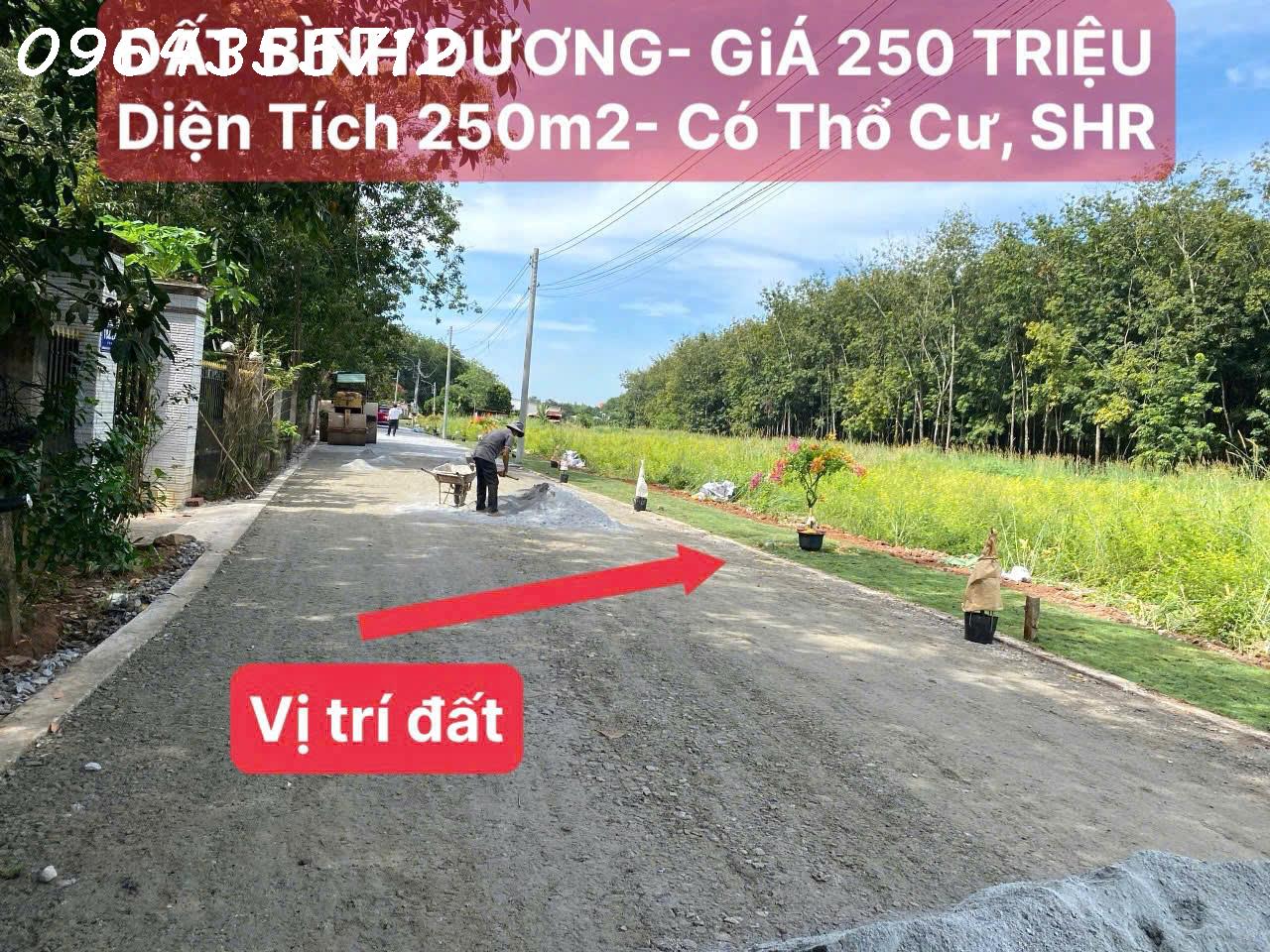 BÁN ĐẤT NỀN SỔ SẴN BÌNH DƯƠNG GIÁ 750 TRIỆU - Ảnh 2