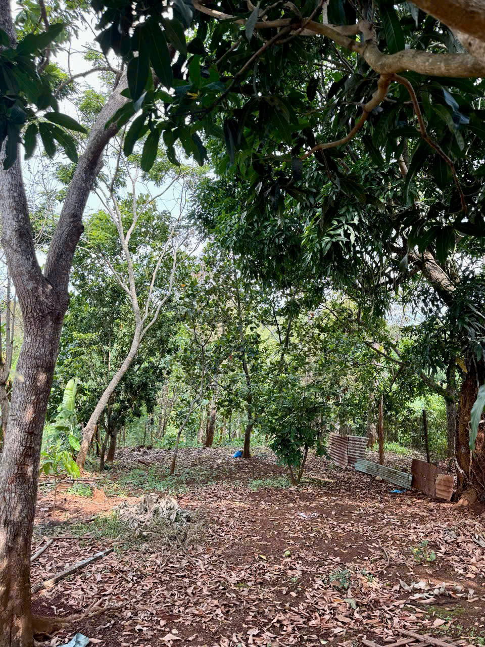 5,4 sào đất View hồ trong đó có 400m² đất thổ cư tại xã Cư Bao, thị xã Buôn Hồ - Ảnh 1