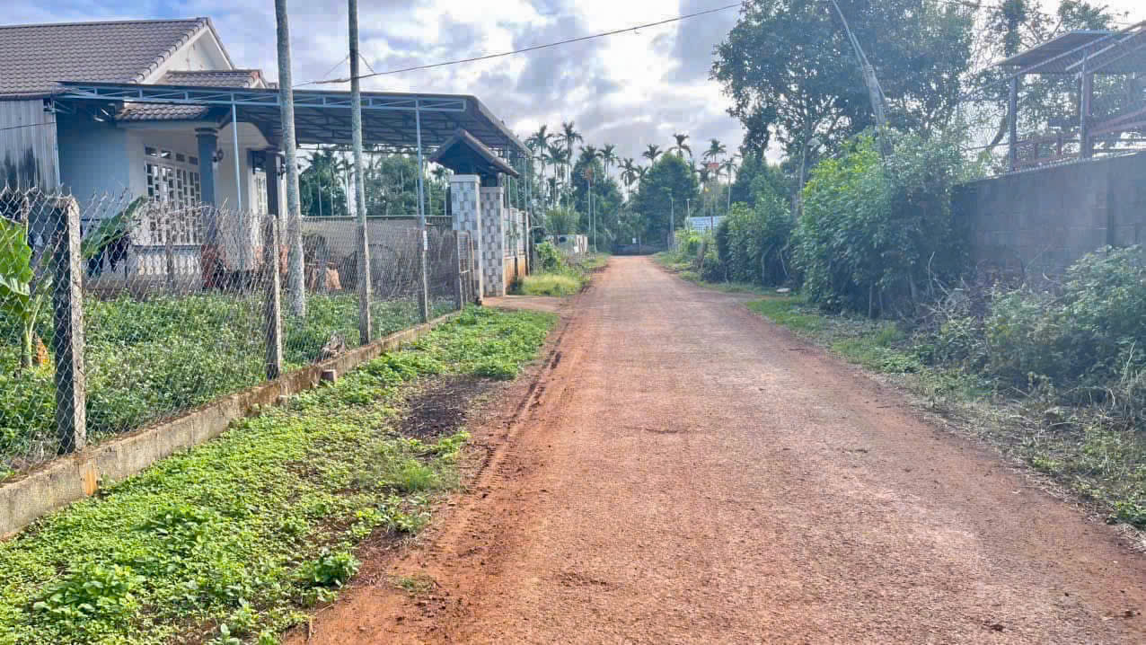 5,4 sào đất View hồ trong đó có 400m² đất thổ cư tại xã Cư Bao, thị xã Buôn Hồ - Ảnh 3