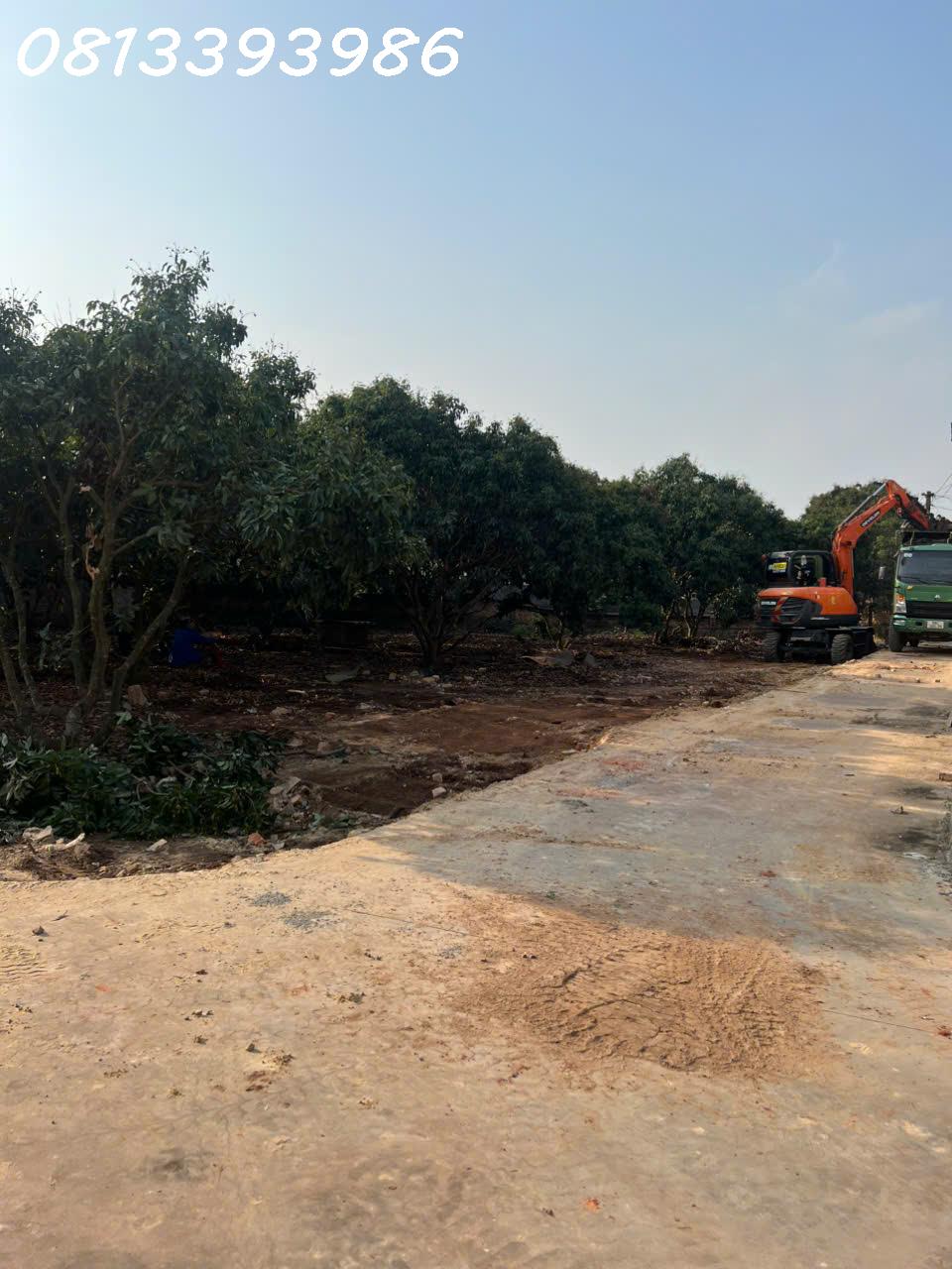 CƠ HỘI VÀNG - ĐẦU TƯ ĐẤT NỀN NGAY CHỢ SÀN, NGỌC SƠN, LỤC NAM - Ảnh 4