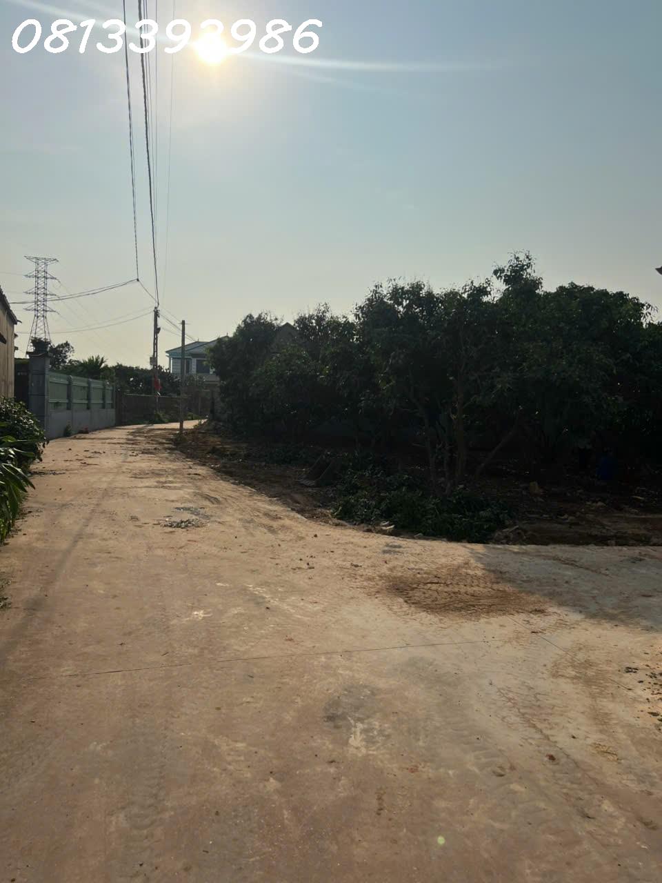 CƠ HỘI VÀNG - ĐẦU TƯ ĐẤT NỀN NGAY CHỢ SÀN, NGỌC SƠN, LỤC NAM - Ảnh 1