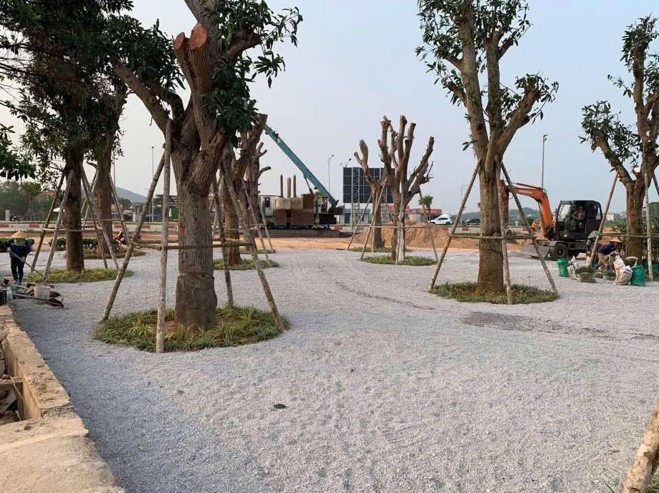 KHU ĐÔ THỊ “Danko Riverside Bắc Giang”– TRUNG TÂM TP BẮC GIANG - Ảnh 4