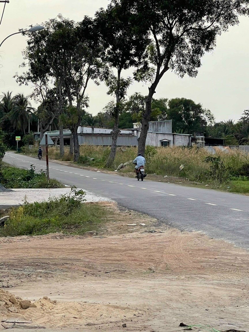 Đất Củ Chi giá hời đầu tư sinh lời - Ảnh chính