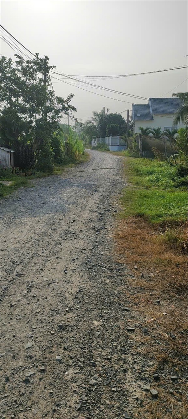 ĐẤT SIÊU ĐẸP - GIÁ TỐT - Bán GẤP Lô Đất Tiềm Năng Tại Xã Mỹ Hạnh Bắc, Đức Hòa, Long An - Ảnh 2