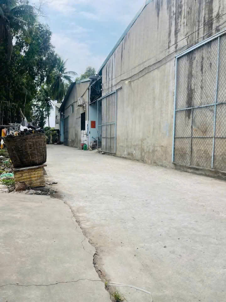 Cần bán nhà tại Tân Đông Thạnh 105m2 sổ hồng riêng chỉ với 840 triệu - Ảnh chính