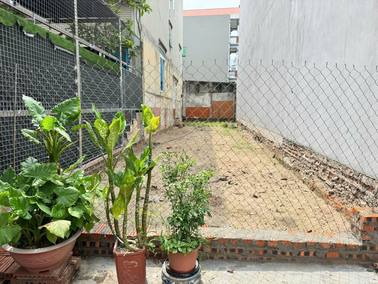 Đất đẹp thôn Do Hạ, Tiền Phong, Mê Linh. Trục chính trải nhựa, mặt tiền kinh doanh - Ảnh 2