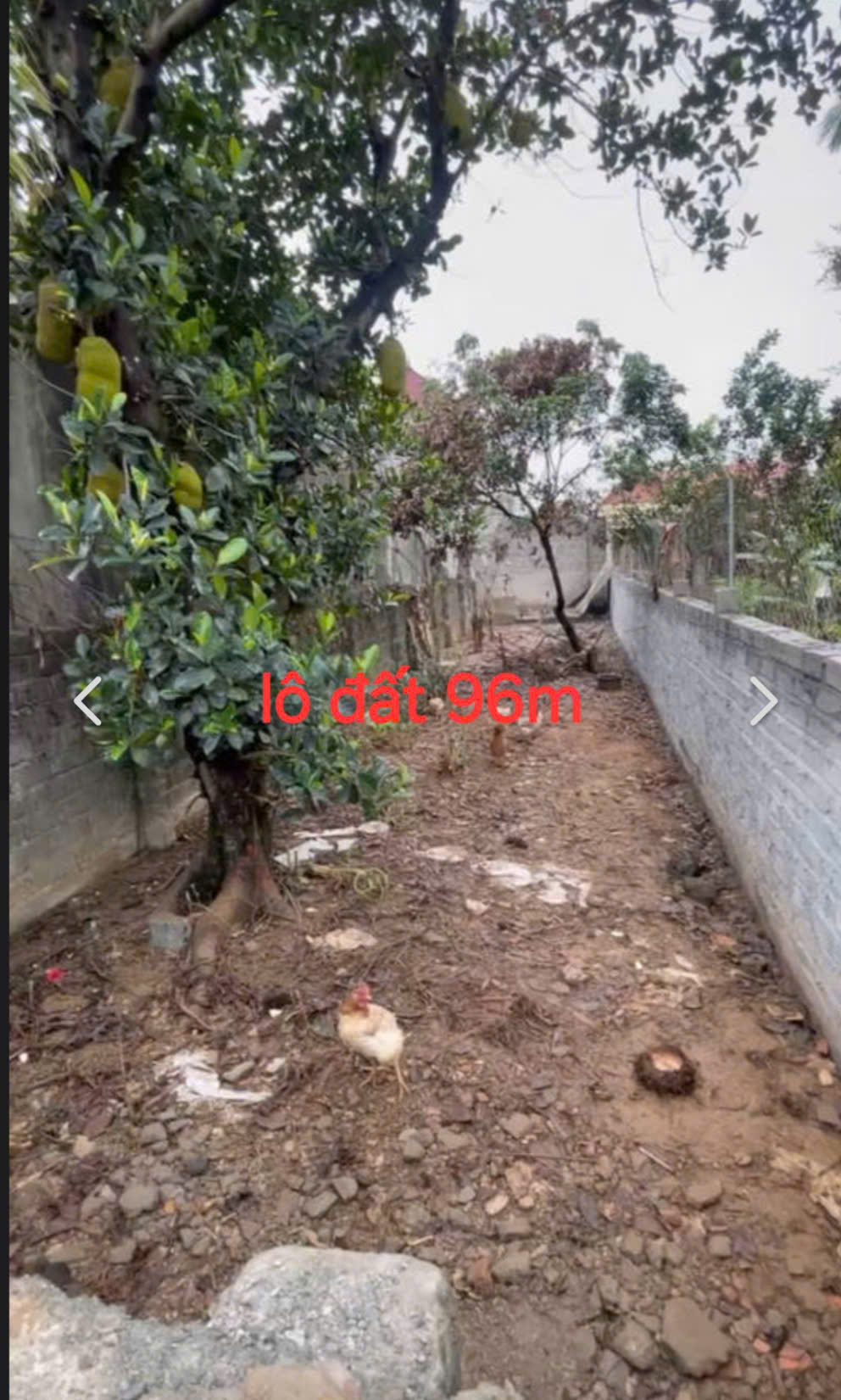 SÔC-BÁN LÔ ĐẤT ĐẸP XÃ HOÀNG VĂN THỤ, CHƯƠNG MỸ-96M-GIÁ 1.82 TỶ - Ảnh 1