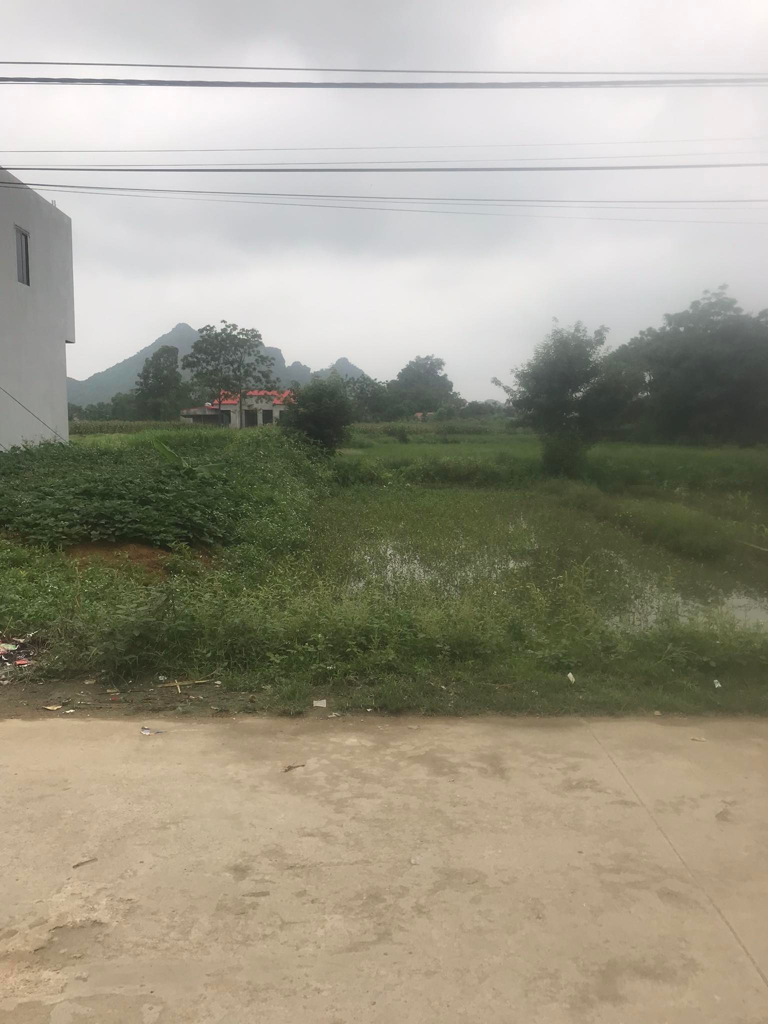 hàng fo tại chương mỹ giá nét đầu tư liên hệ e sớm - Ảnh chính