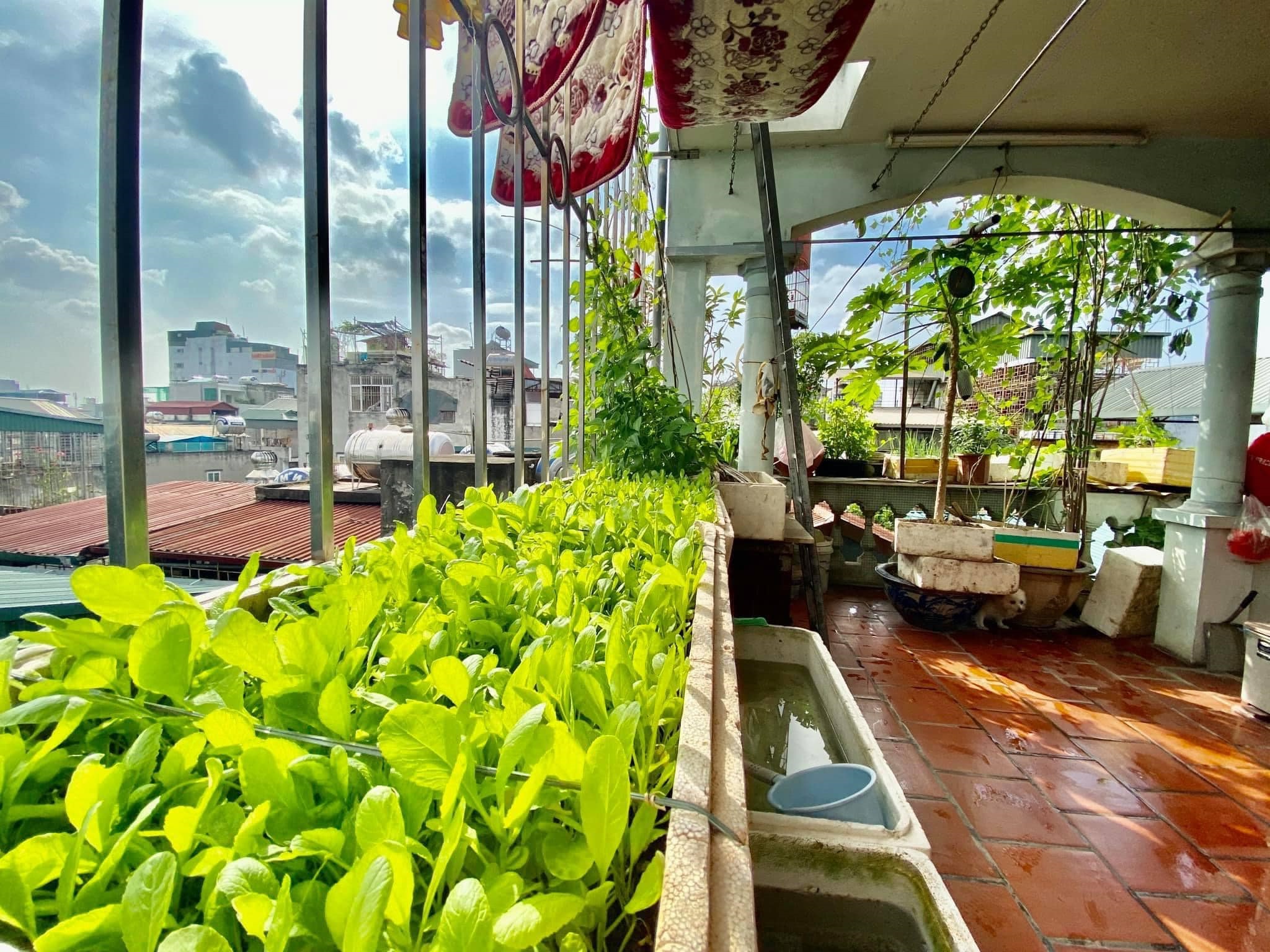 Bán Nhà Lương Thế Vinh – Thoáng Trước Thoáng Sau – 12 Tỷ Hơn - Ảnh 4