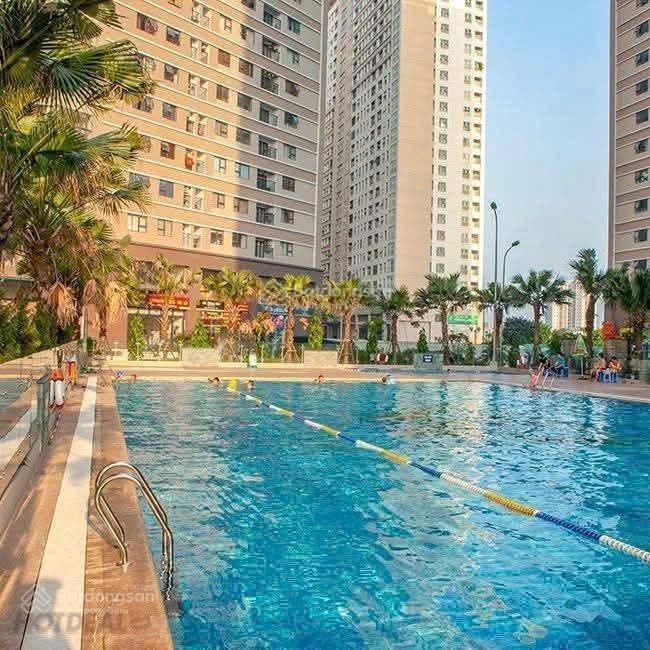 Bán gấn căn hộ 55m, 2pn, 3.0x tỷ Xuân Mai Complex, bank hỗ trợ 70% - Ảnh 1