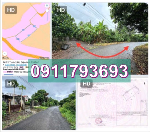⭐️Chính chủ bán 5167m2 đất tại xã Xuân Thiện, huyện Thống Nhất, Đồng Nai, 0911793693 - Ảnh chính