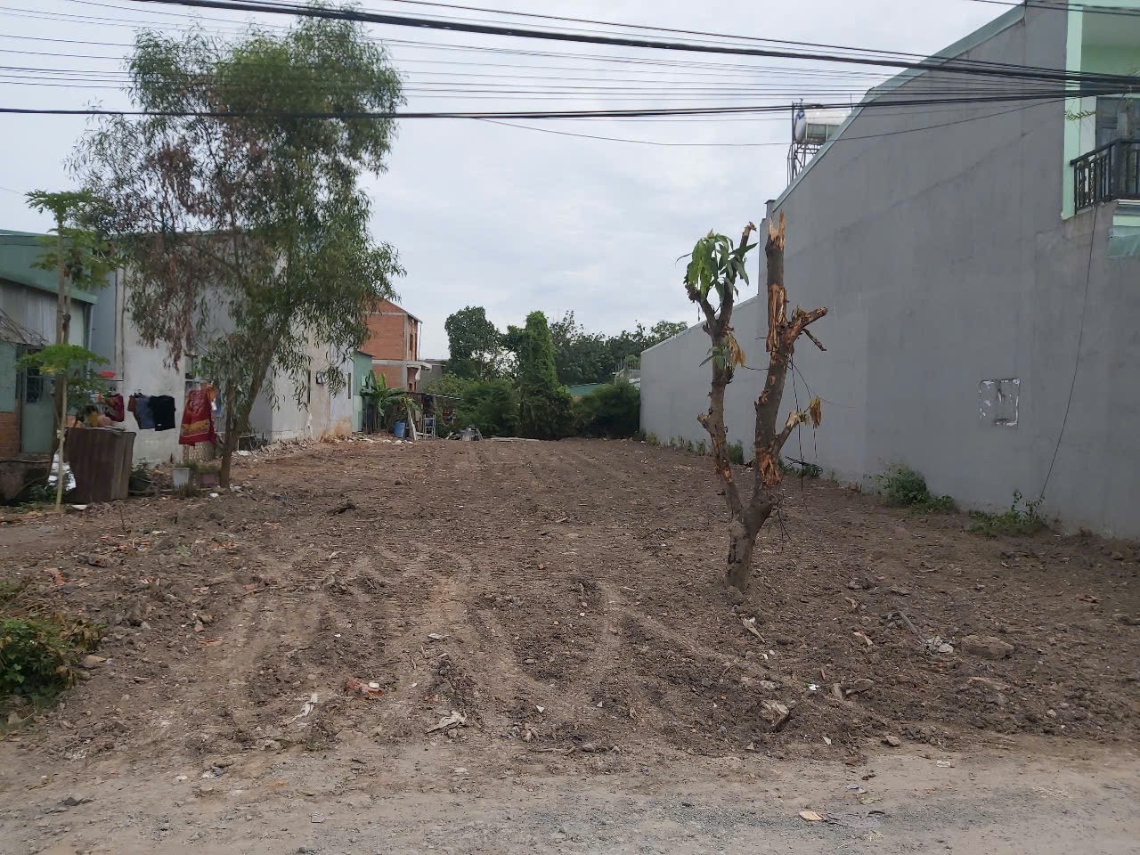 ĐẤT ĐẸP – GIÁ TỐT - CẦN BÁN  NHANH LÔ ĐẤT Hội Nghĩa 33, KP5, Hội Nghĩa, Tân Uyên, Bình Dương - Ảnh 3