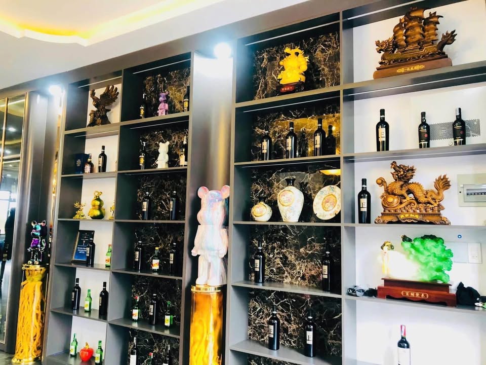 Bán căn Villa cao cấp mặt tiền An Sơn- P4- TP Đà Lạt - Ảnh 3